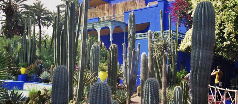 Jardin Majorelle in Marrakech