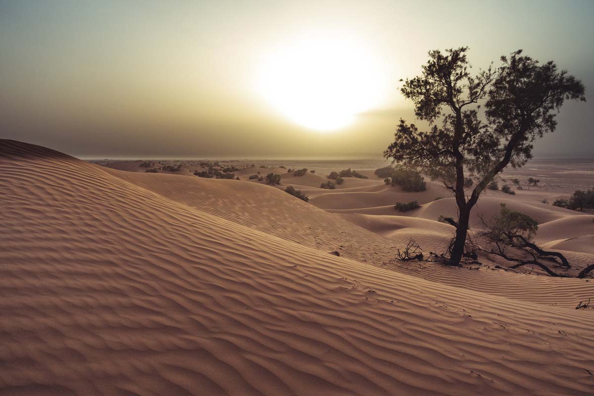 Sand dunes in Erg Chegaga, Morocco