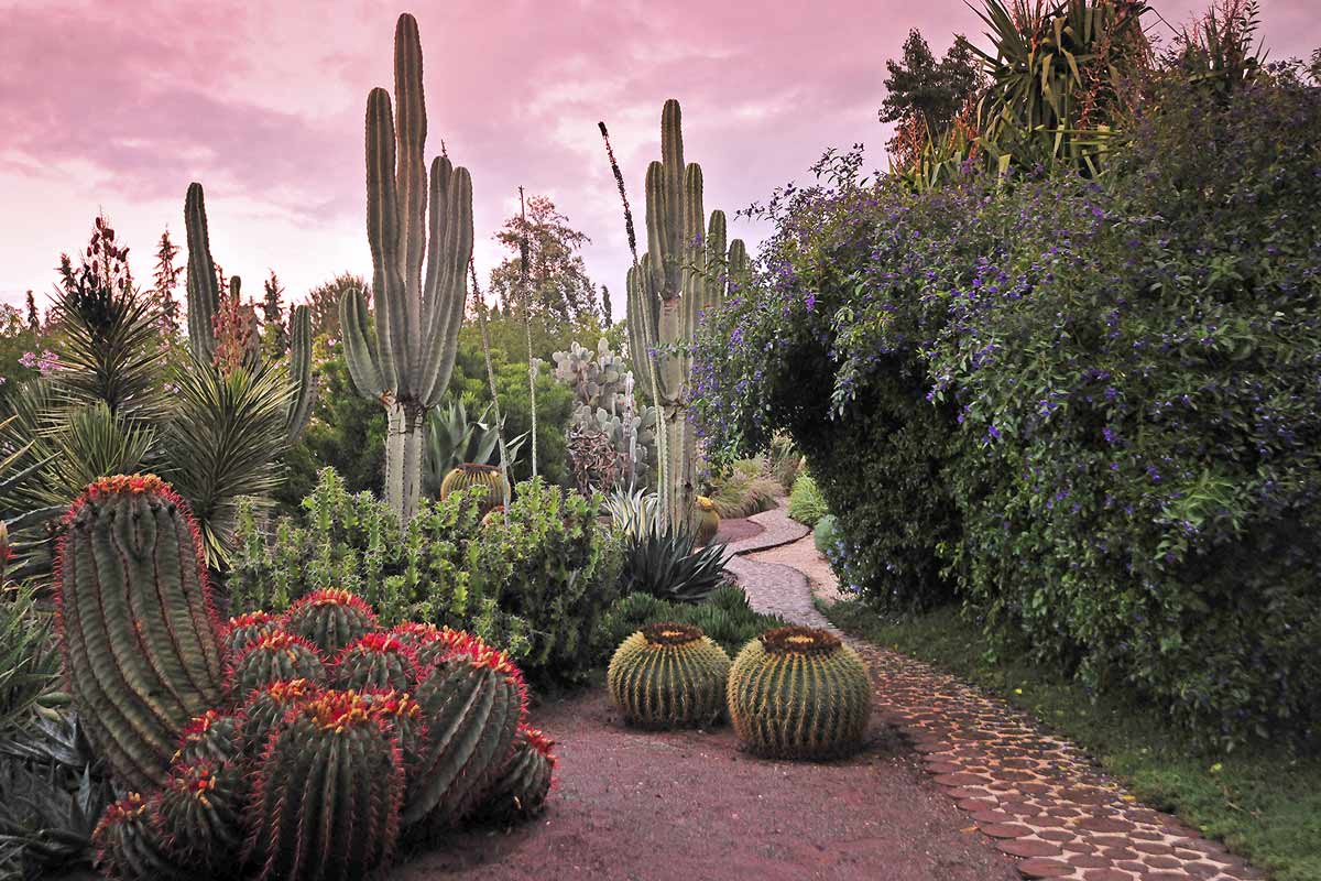 Anima Garden near Marrakech