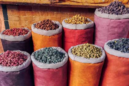 Marrakech travel guide