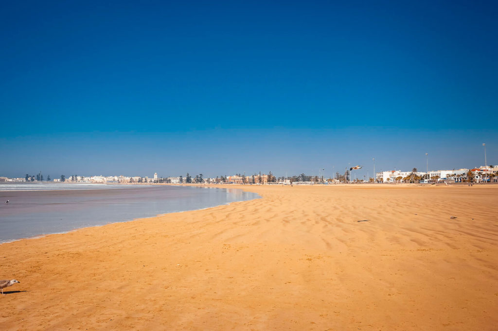 Beach Essaouira