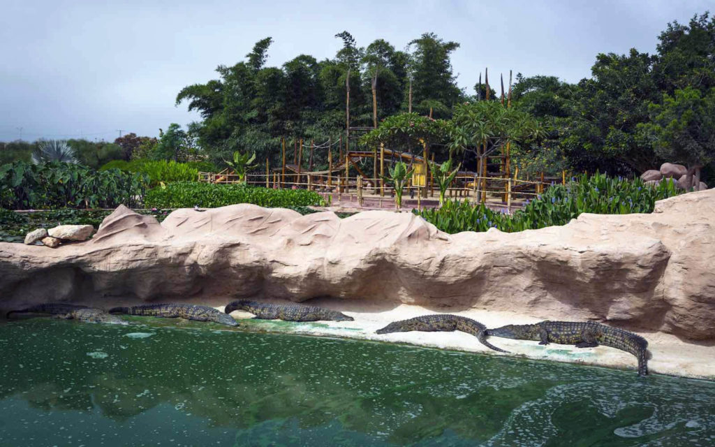 Botanical Garden at Crocoparc Agadir