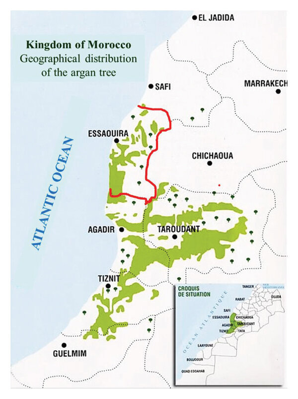 Geographical distribution of Argan
