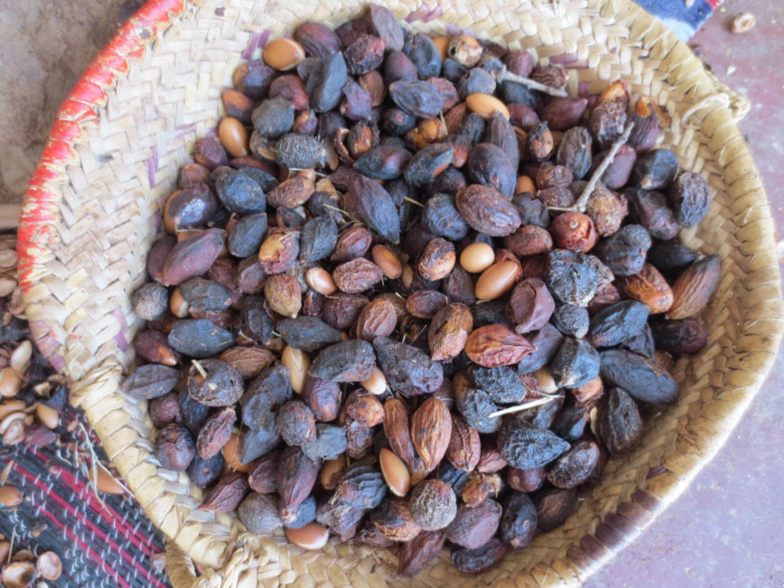 Argan nuts