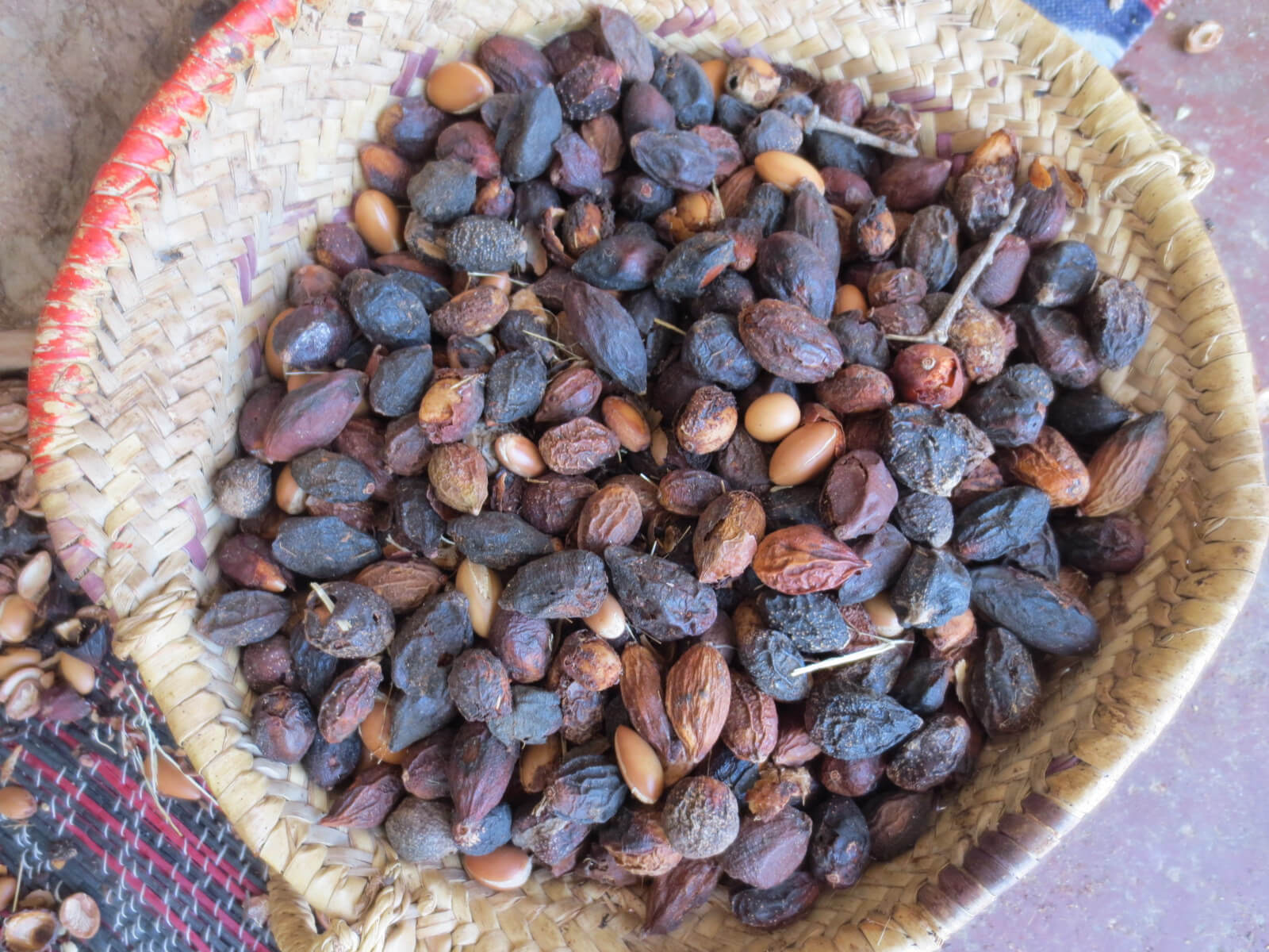 Argan Oil – Morocco’s Liquid Gold
